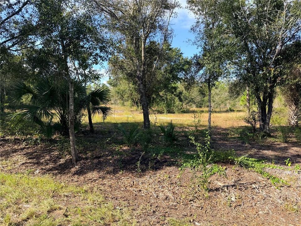 For Sale: $18,000 (0.17 acres)