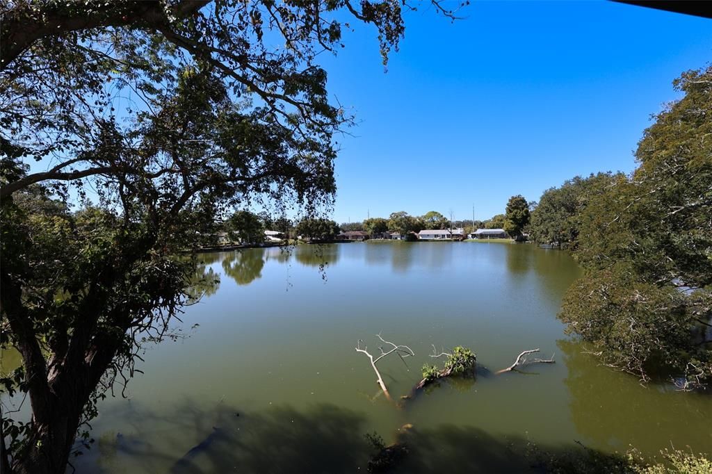 出租: $1,800 (2 贝兹, 2 浴室, 1049 平方英尺)