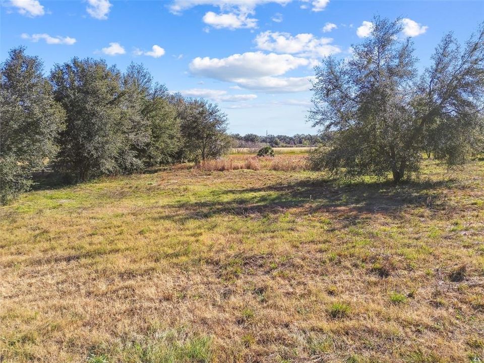 For Sale: $159,000 (4.68 acres)