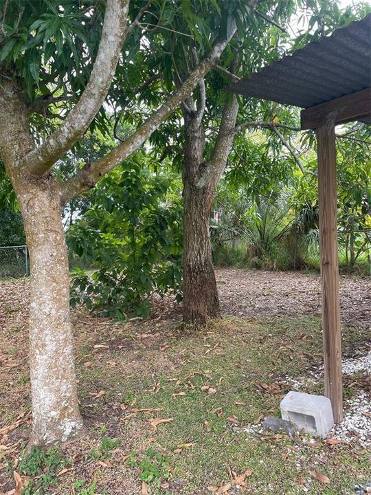 出租: $1,375 (2 贝兹, 1 浴室, 780 平方英尺)