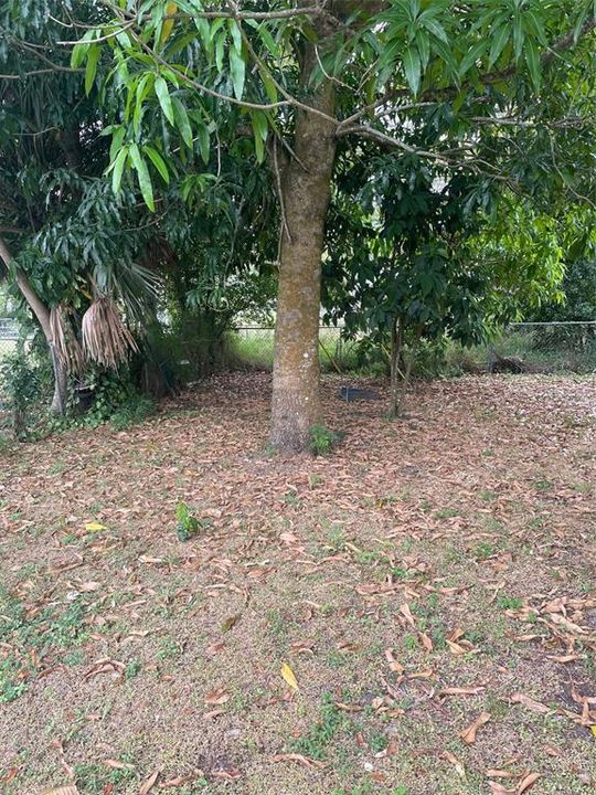 出租: $1,375 (2 贝兹, 1 浴室, 780 平方英尺)