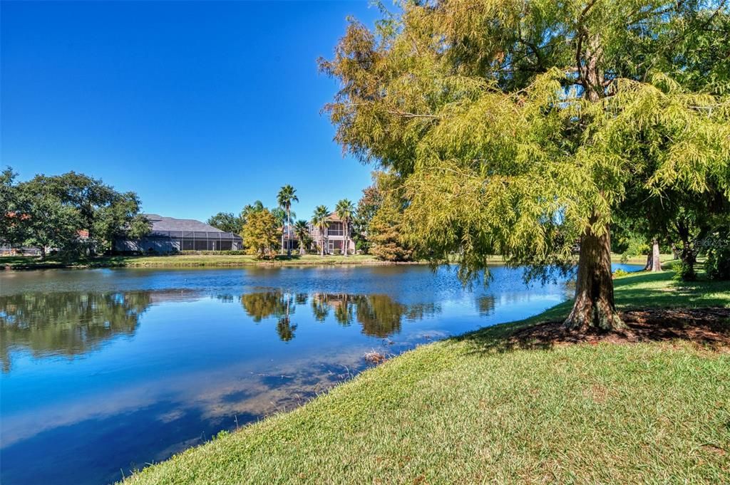 待售: $939,000 (5 贝兹, 4 浴室, 3860 平方英尺)