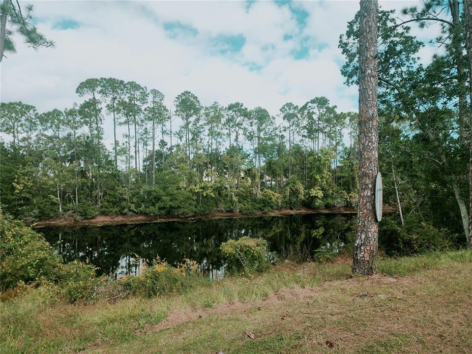 出租: $1,900 (3 贝兹, 2 浴室, 1596 平方英尺)