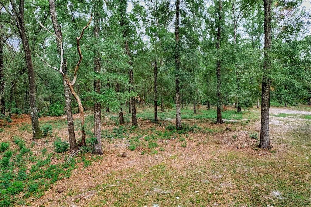 待售: $329,000 (3 贝兹, 2 浴室, 1890 平方英尺)