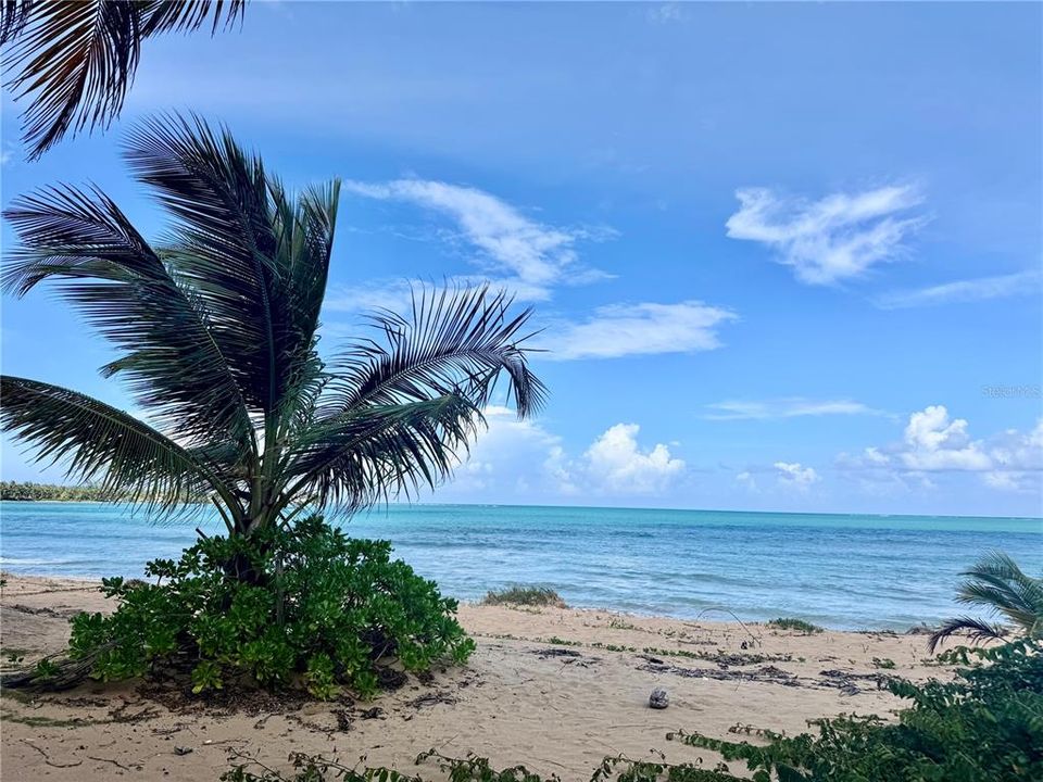 На продажу: $1,569,000 (4 спален, 3 ванн, 2700 Квадратных фут)