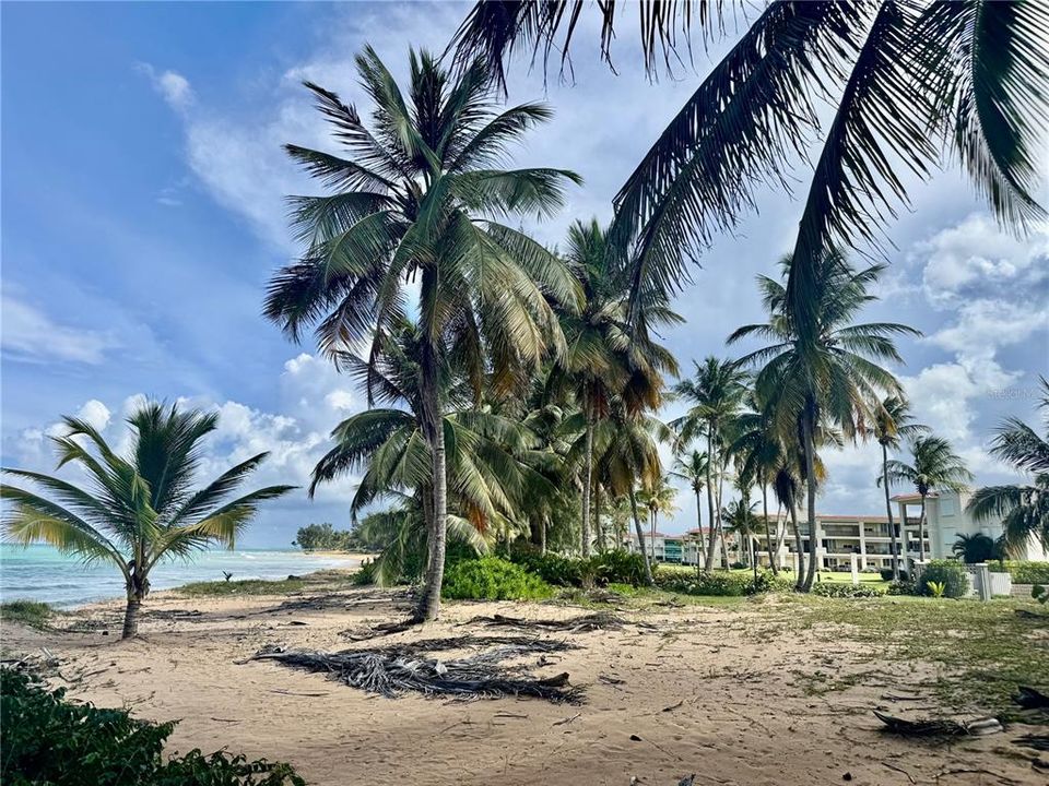 На продажу: $1,569,000 (4 спален, 3 ванн, 2700 Квадратных фут)