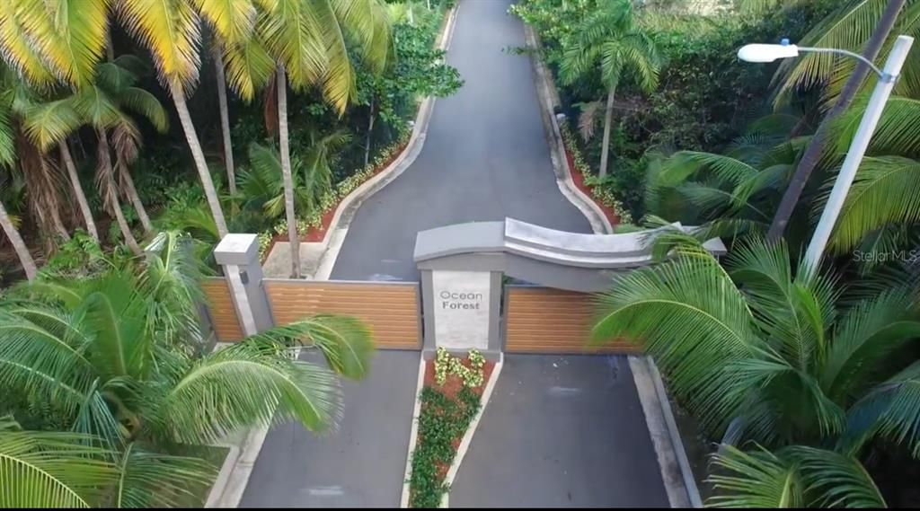 На продажу: $1,569,000 (4 спален, 3 ванн, 2700 Квадратных фут)