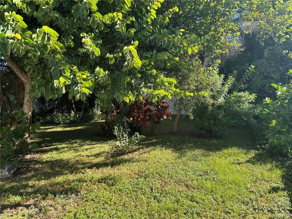 待售: $365,000 (3 贝兹, 2 浴室, 1318 平方英尺)