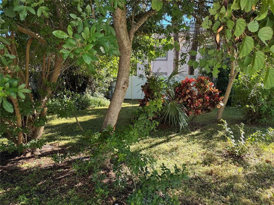 待售: $365,000 (3 贝兹, 2 浴室, 1318 平方英尺)