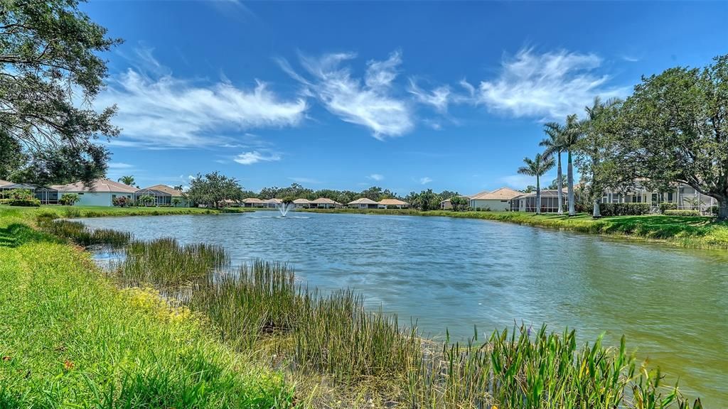 Под контрактом: $525,000 (3 спален, 2 ванн, 1915 Квадратных фут)