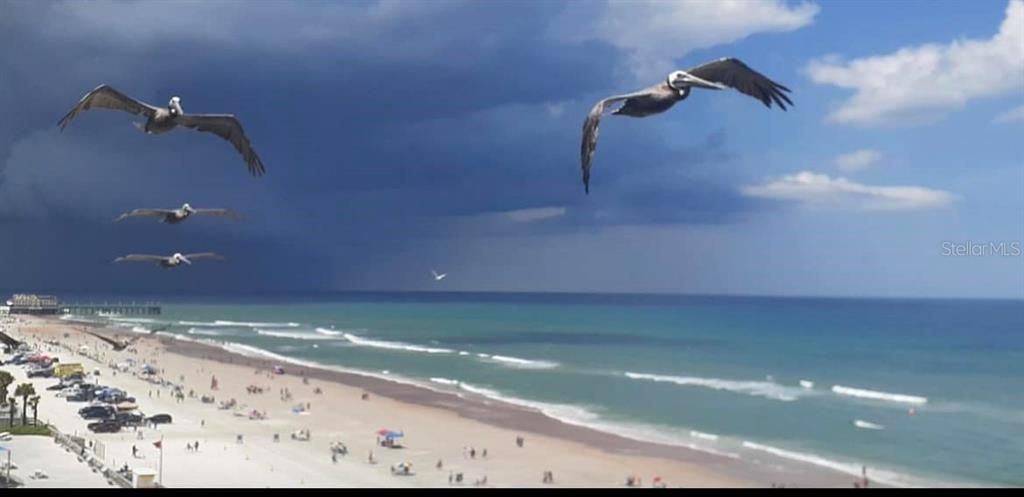 For Sale: $177,000 (1 beds, 1 baths, 399 Square Feet)