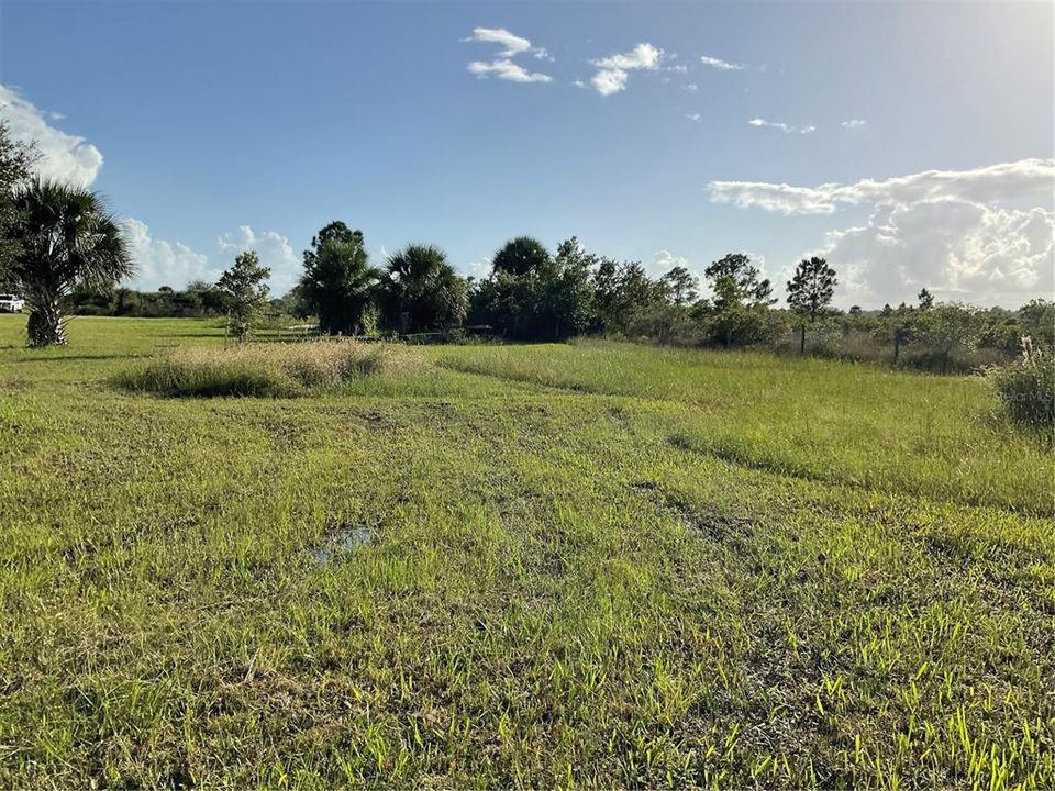 For Sale: $54,995 (1.25 acres)
