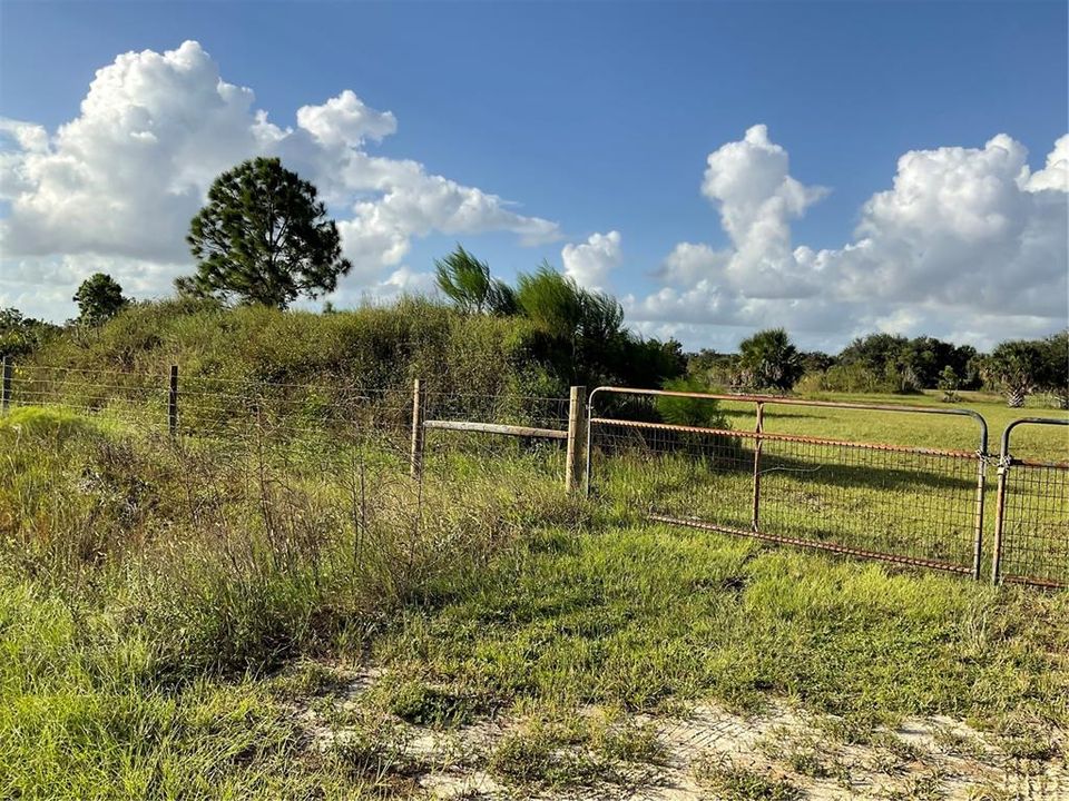 For Sale: $54,995 (1.25 acres)