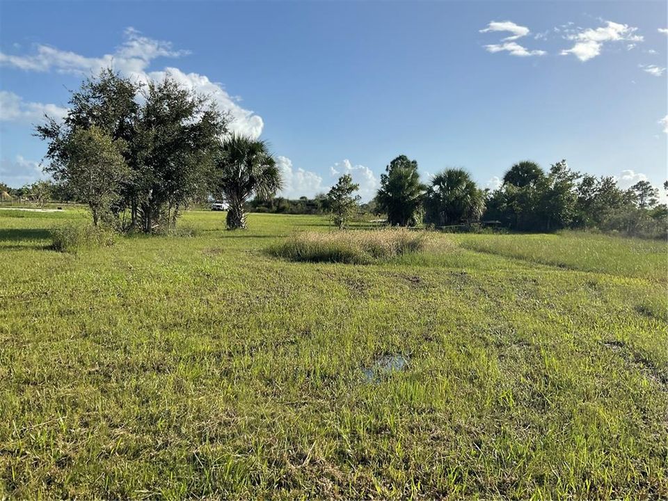 For Sale: $54,995 (1.25 acres)