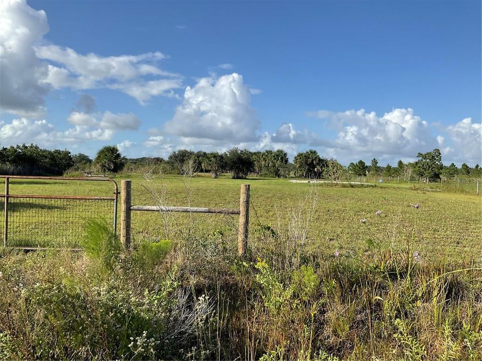 For Sale: $54,995 (1.25 acres)