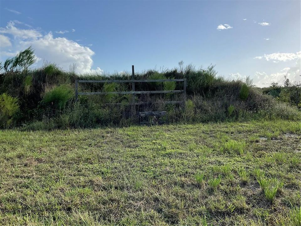 For Sale: $54,995 (1.25 acres)