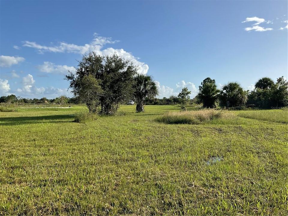 For Sale: $54,995 (1.25 acres)