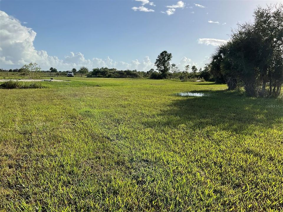 For Sale: $54,995 (1.25 acres)