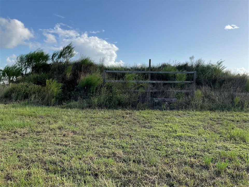 For Sale: $54,995 (1.25 acres)