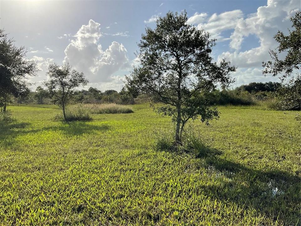 For Sale: $54,995 (1.25 acres)