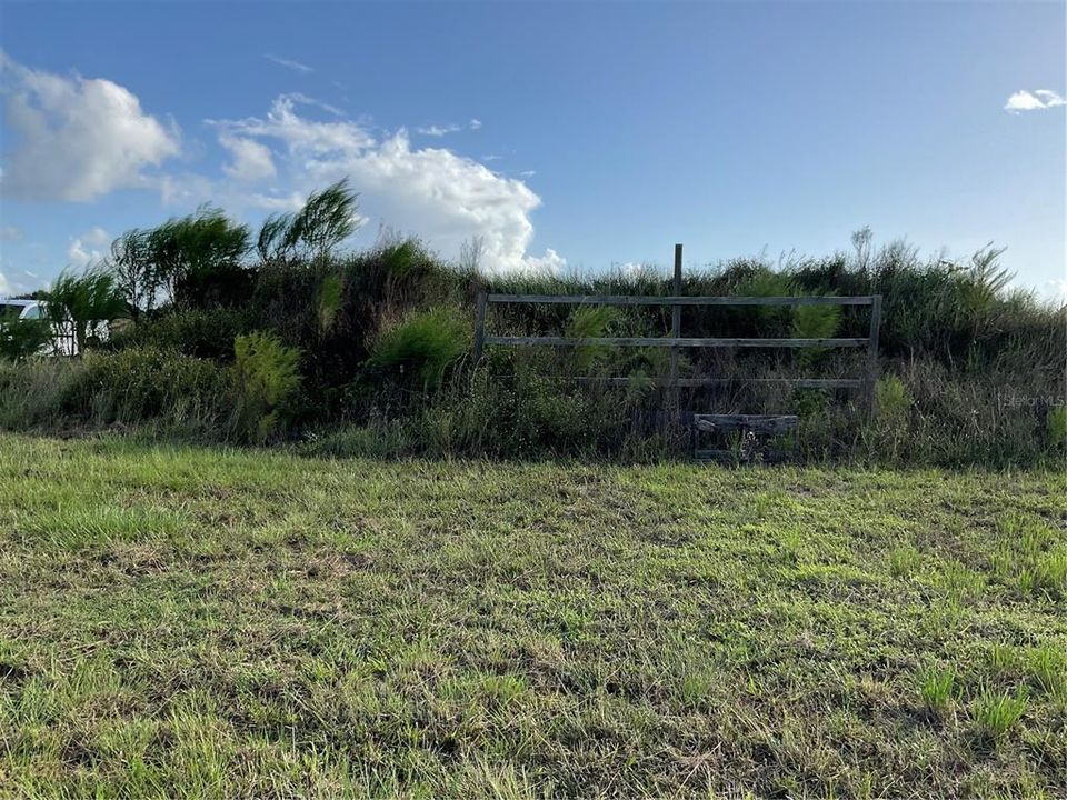 For Sale: $54,995 (1.25 acres)
