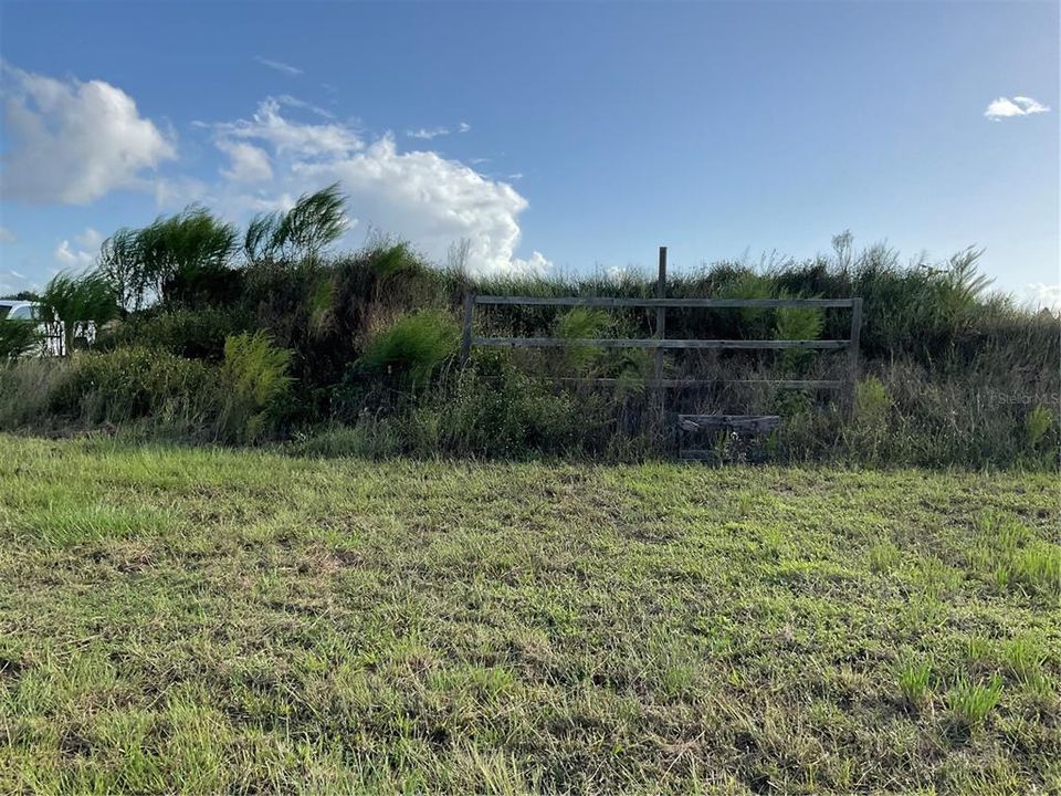 For Sale: $54,995 (1.25 acres)