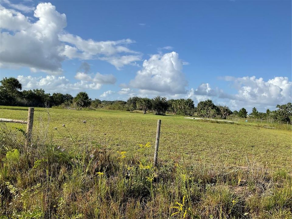 For Sale: $54,995 (1.25 acres)