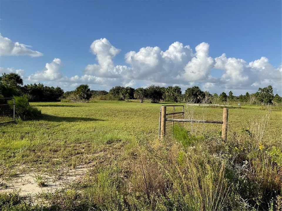 For Sale: $54,995 (1.25 acres)