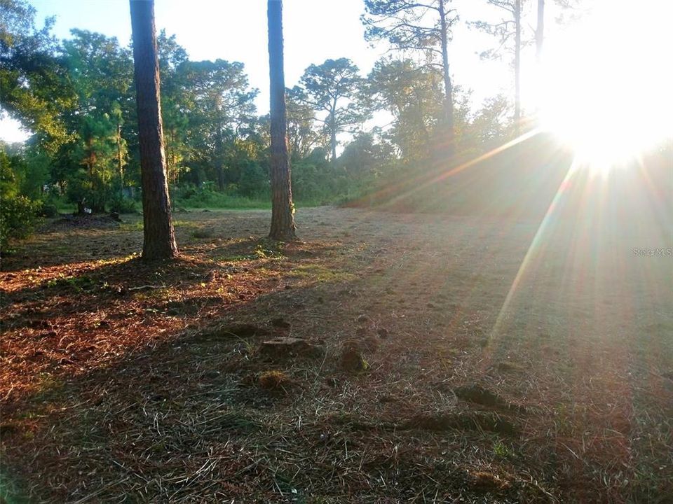 For Sale: $33,000 (0.18 acres)