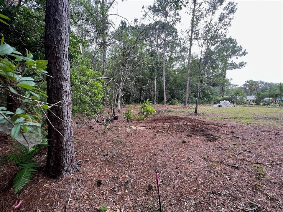 For Sale: $33,000 (0.18 acres)