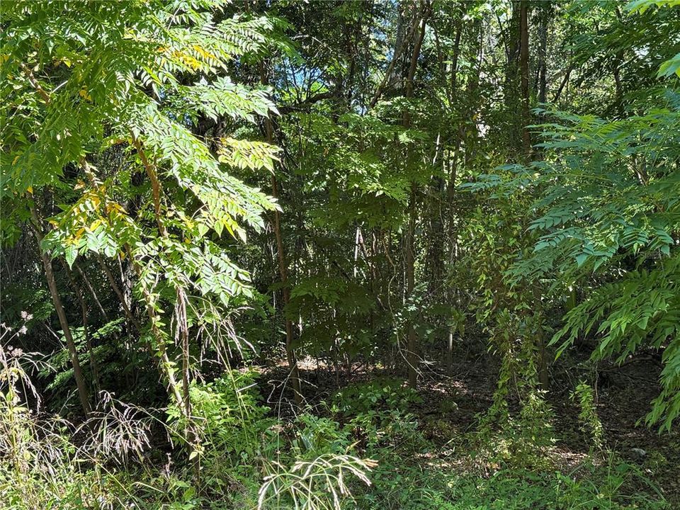 Active With Contract: $12,000 (0.26 acres)