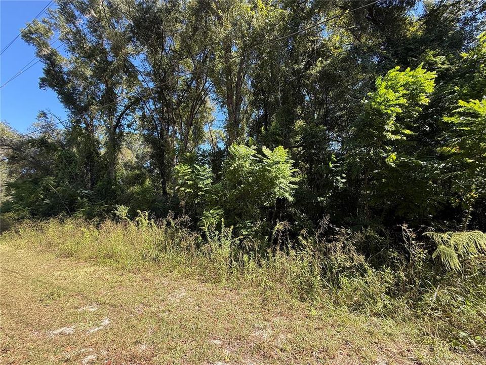 Active With Contract: $12,000 (0.26 acres)