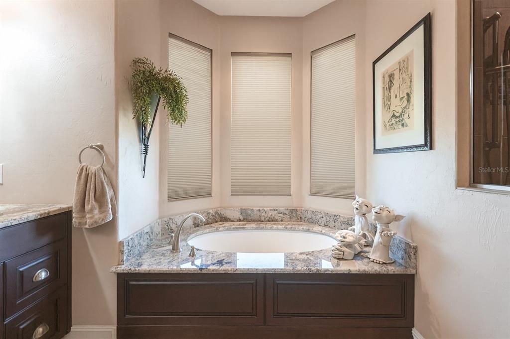 На продажу: $849,000 (3 спален, 3 ванн, 2336 Квадратных фут)