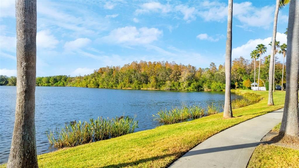 出租: $3,500 (3 贝兹, 2 浴室, 1526 平方英尺)