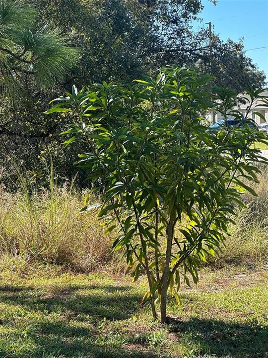 For Sale: $324,999 (3 beds, 2 baths, 1743 Square Feet)