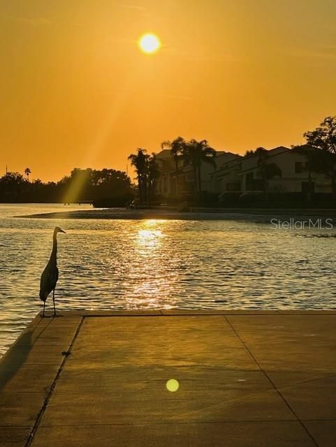 待售: $449,000 (2 贝兹, 2 浴室, 1700 平方英尺)