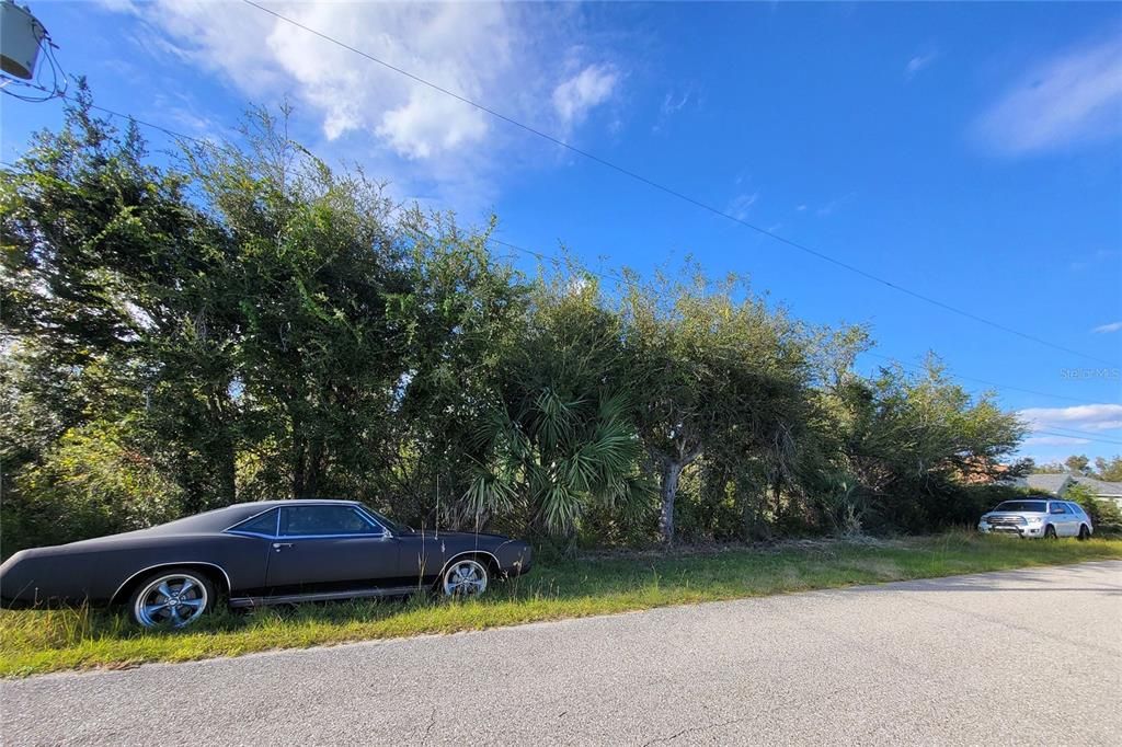 На продажу: $50,000 (0.46 acres)