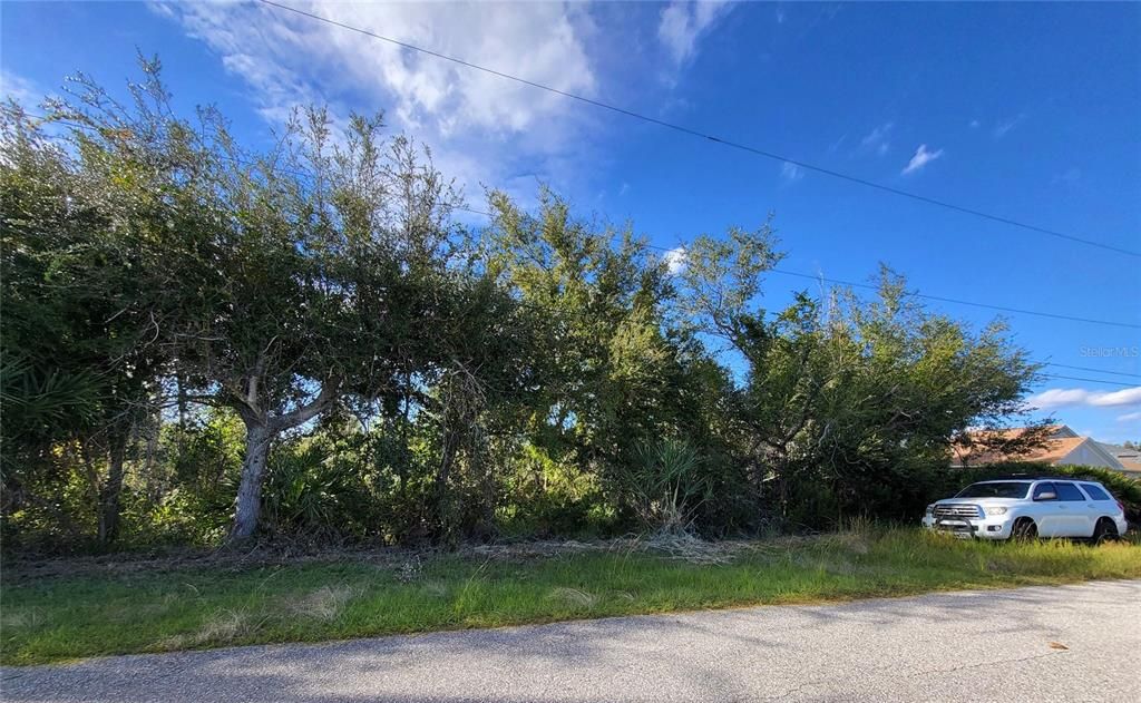 На продажу: $50,000 (0.46 acres)