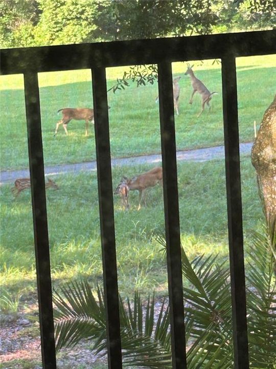 На продажу: $175,000 (2 спален, 2 ванн, 1224 Квадратных фут)