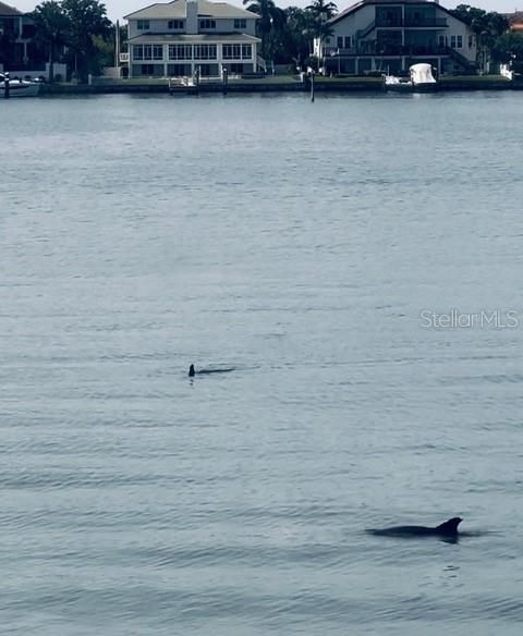 В аренду: $3,500 (2 спален, 2 ванн, 1700 Квадратных фут)