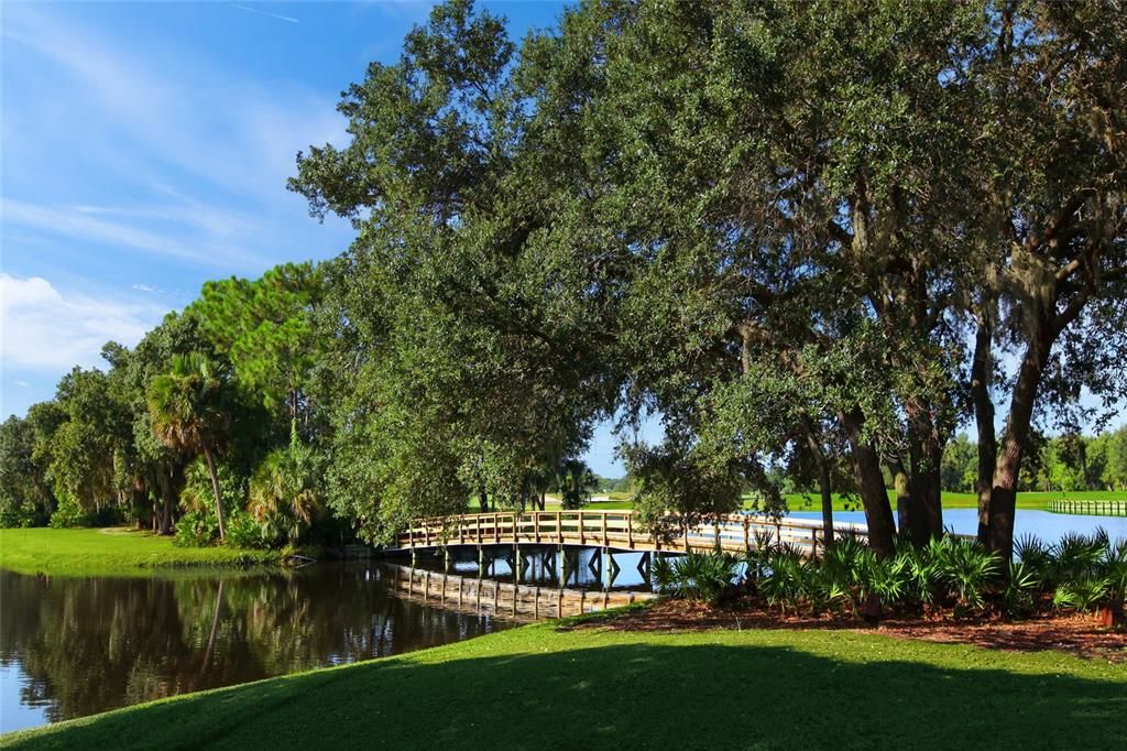 待售: $1,222,000 (3 贝兹, 3 浴室, 2954 平方英尺)