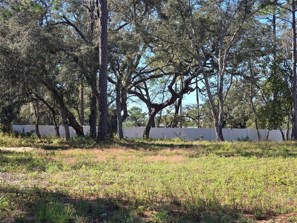 На продажу: $59,900 (0.46 acres)