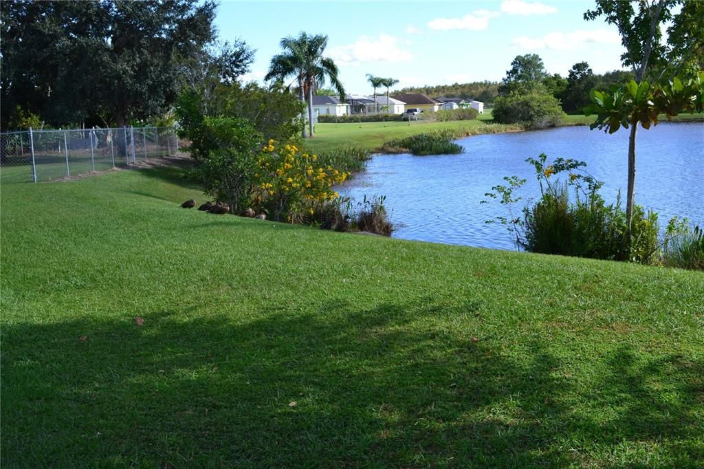 На продажу: $419,900 (3 спален, 2 ванн, 1846 Квадратных фут)