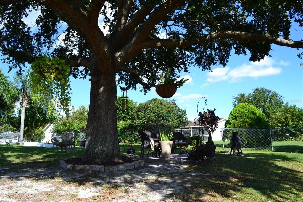 На продажу: $419,900 (3 спален, 2 ванн, 1846 Квадратных фут)