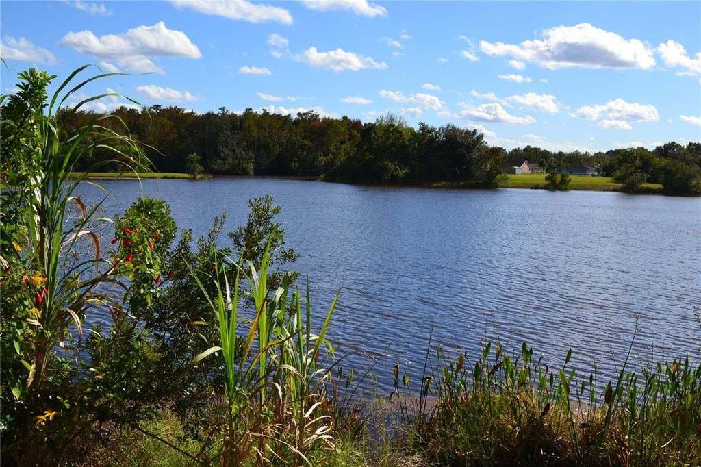 На продажу: $419,900 (3 спален, 2 ванн, 1846 Квадратных фут)