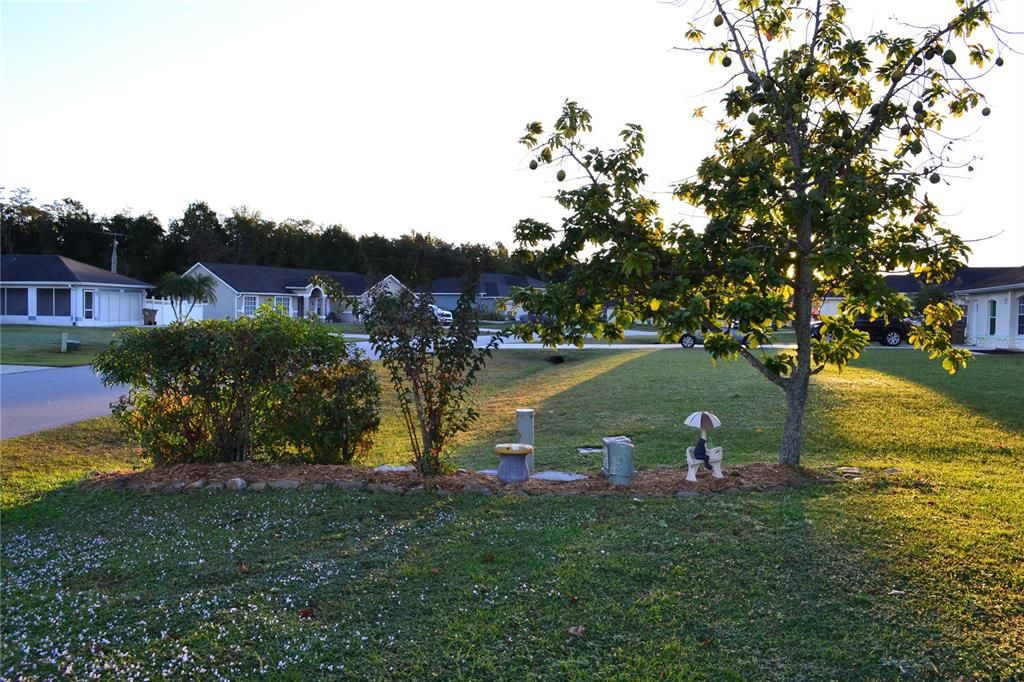 На продажу: $419,900 (3 спален, 2 ванн, 1846 Квадратных фут)