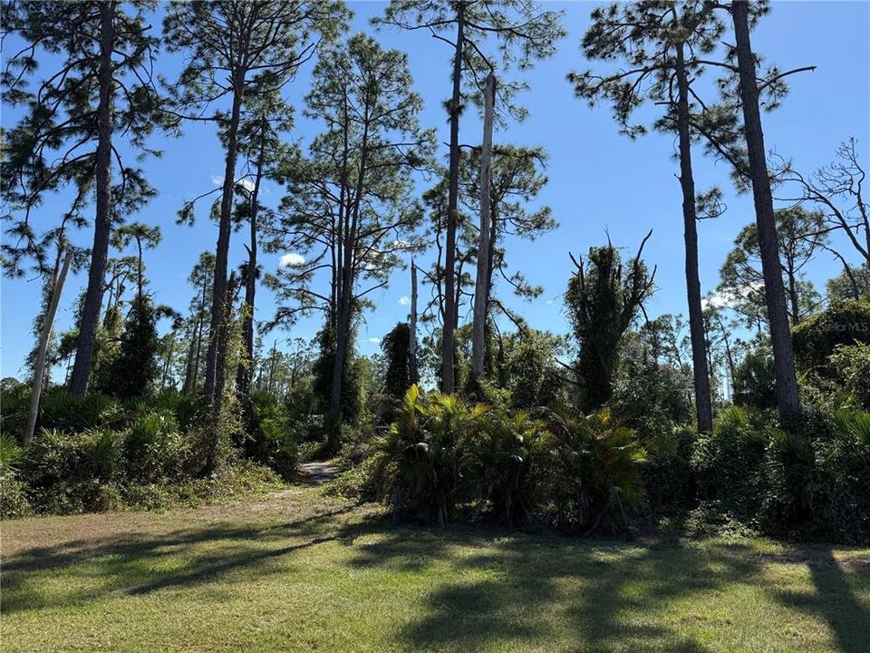 合同活跃: $155,000 (1.17 acres)