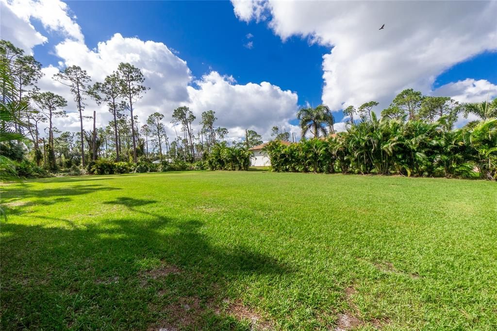 合同活跃: $155,000 (1.17 acres)