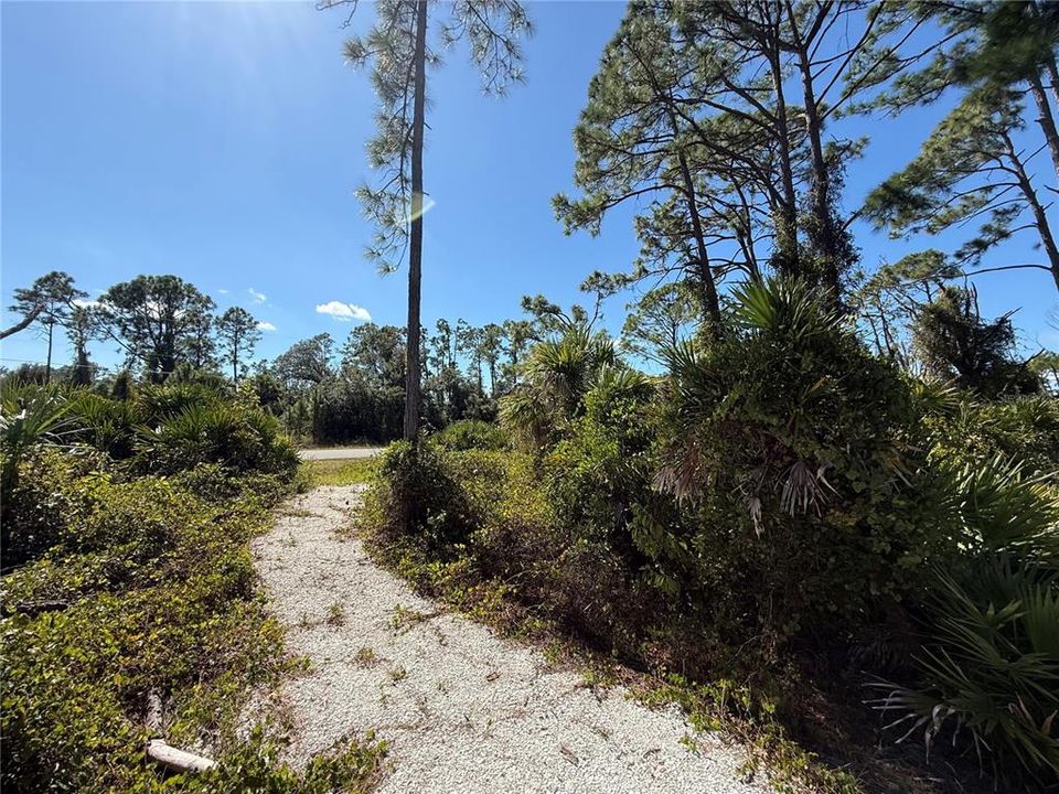 合同活跃: $155,000 (1.17 acres)