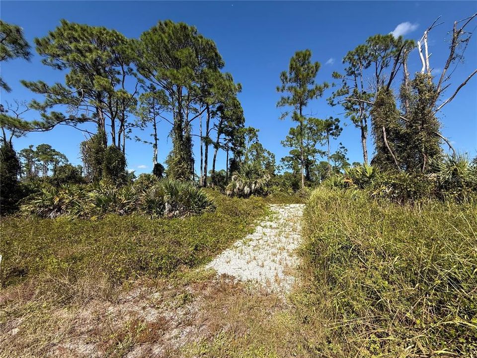 合同活跃: $155,000 (1.17 acres)